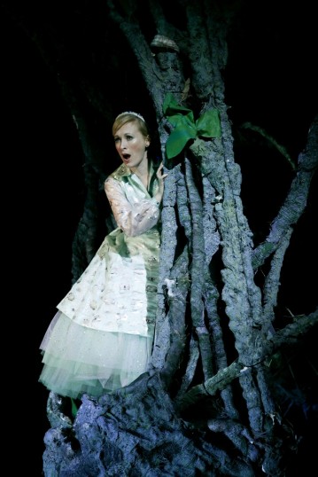 Gail Watson is in fine voice as Mother. Photo: Eamonn McGoldrick