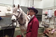 Summerhall back in the saddle – feature