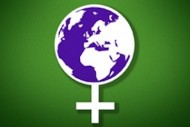 WITS on the case for IWD