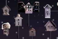 ‘Appy times for White iPad app