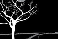 Peapod Prods go on the Moonlit Road