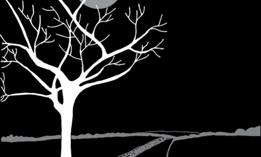 Moonlit-Road Crop2