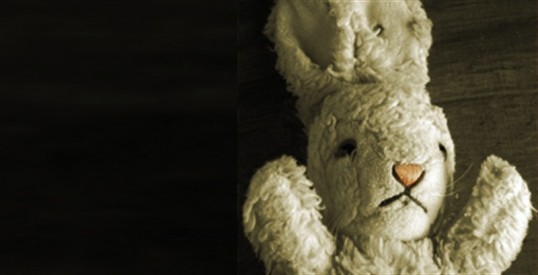 A white rabbit which might, or might not, be a red herring.