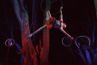 Aerialists at the Bots