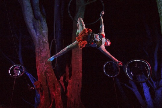 Aerialist Danuta Ramos. Photo: Daniel Lacasta Fitzsimmons