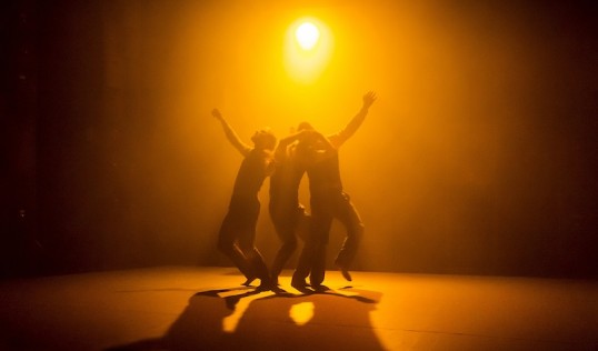 Gecko -INSTITUTE. Photo: Richard Haughton