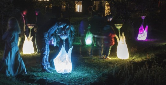 Magical Flower Listening Posts. Photo Daniel Lacasta Fitzsimmons