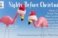 Nights Before Christmas