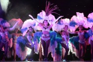Ladyboys lose Meadows site