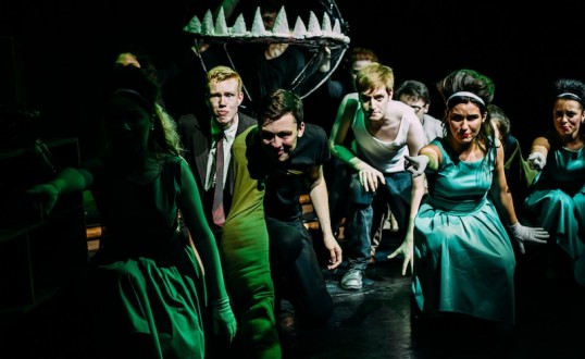 Audrey II is getting quite big now... Photo Mihaela Bodlovic