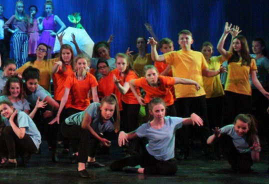 Some of the ensemble - Photo Stephen Clinton
