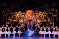 Cinderella