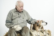 Canine casting call (II)