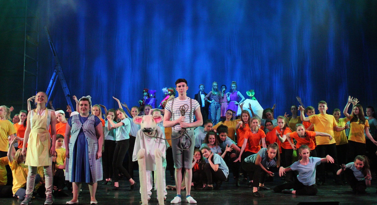 Some of the cast of the 2015 Stage Experience production of Into the Woods - Photo Stephen Clinton