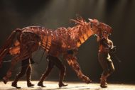 War Horse Returns