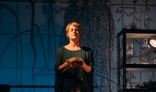 Karine Polwart in Wind Resistance. Photo: Mihaela Bodlovic