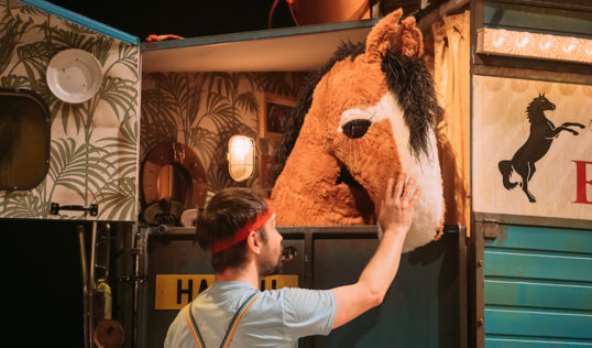 Black Beauty will have a relaxed performance on 14 December. Pic: Mihaela Bodlovic