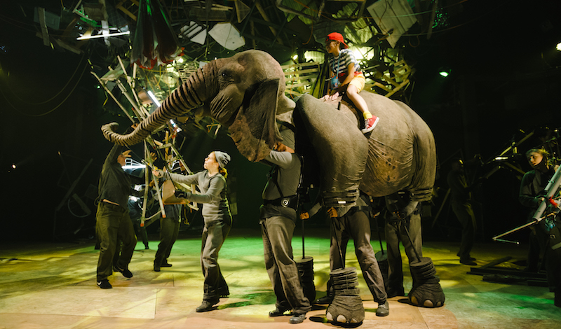 Oona, the elephant, in Running Wild Credit Dan Tsantilis