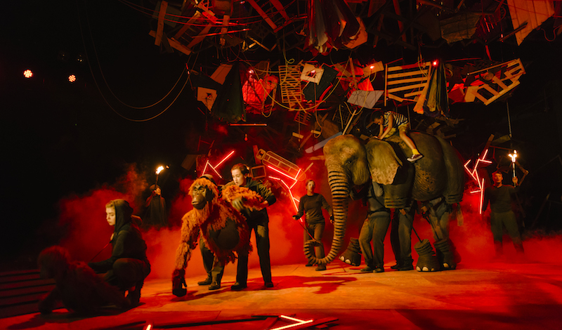 Running Wild credit Dan Tsantilis
