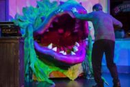 Little Shop of Horrors