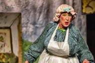 The Wonderful Story of Mother Goose
