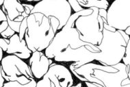 White Rabbit Red Rabbit