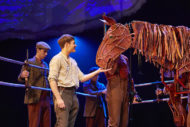 War Horse