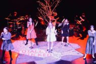 Spring Awakening