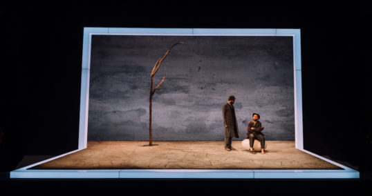 Marty Rea and Aaron Monaghan. Waiting for Godot Druid Theatre of Galway At EIF 2018 Pic Ryan Buchanan