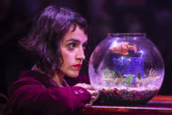 Amélie The Musical