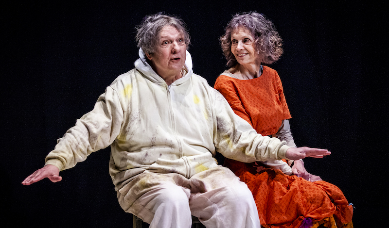 The Not So Ugly Duckling – A Play for Grownups.