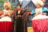 Cinderella The Panto