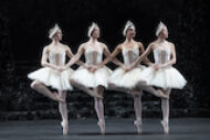 Swan Lake