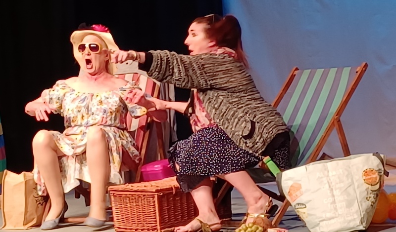 Rona Arnott and Jen Ward in Day Trippers. Pic Trevor Garlick
