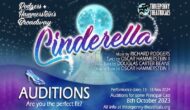 3d Theatricals’ Cinderella Call Out