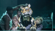 Life of Pi