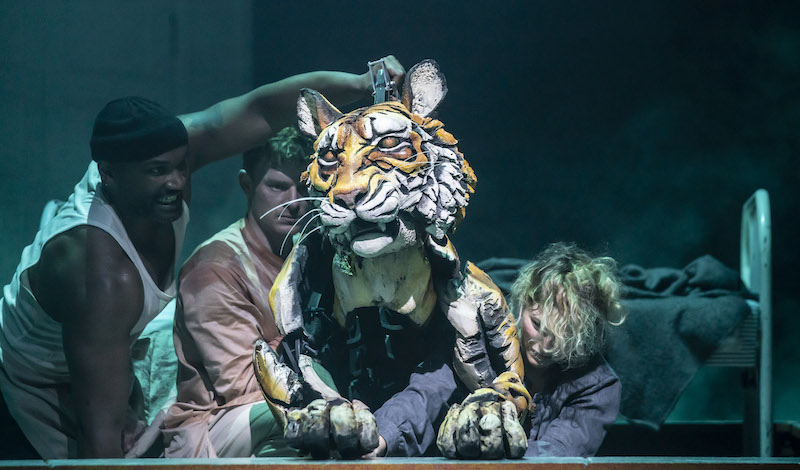 LIFE OF PI