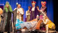 The Sleeping Beauty