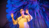 Karine Polwart: Windblown