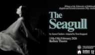 The Seagull