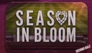 Tynecastle drama
