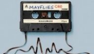 Mayflies
