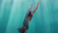 Selkie: Past, Present, Future